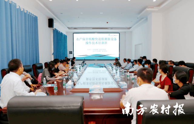 电白区水产病害核酸快速检测新设备操作技术培训活动现场
